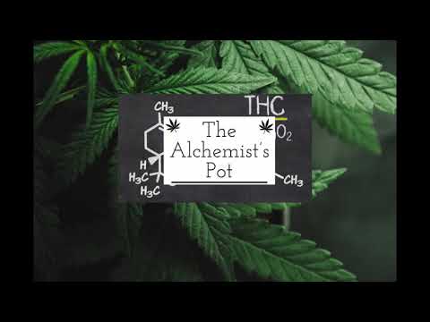 Indica Vs. Sativa explained