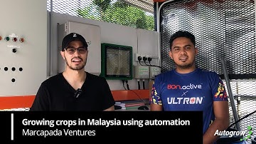 Growing crops in Malaysia using automation