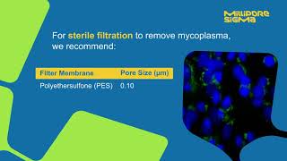 MilliporeSigma: Membrane Selection Tips screenshot 1