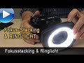 Fokusstacking mit Ringlicht - Makrofotografie