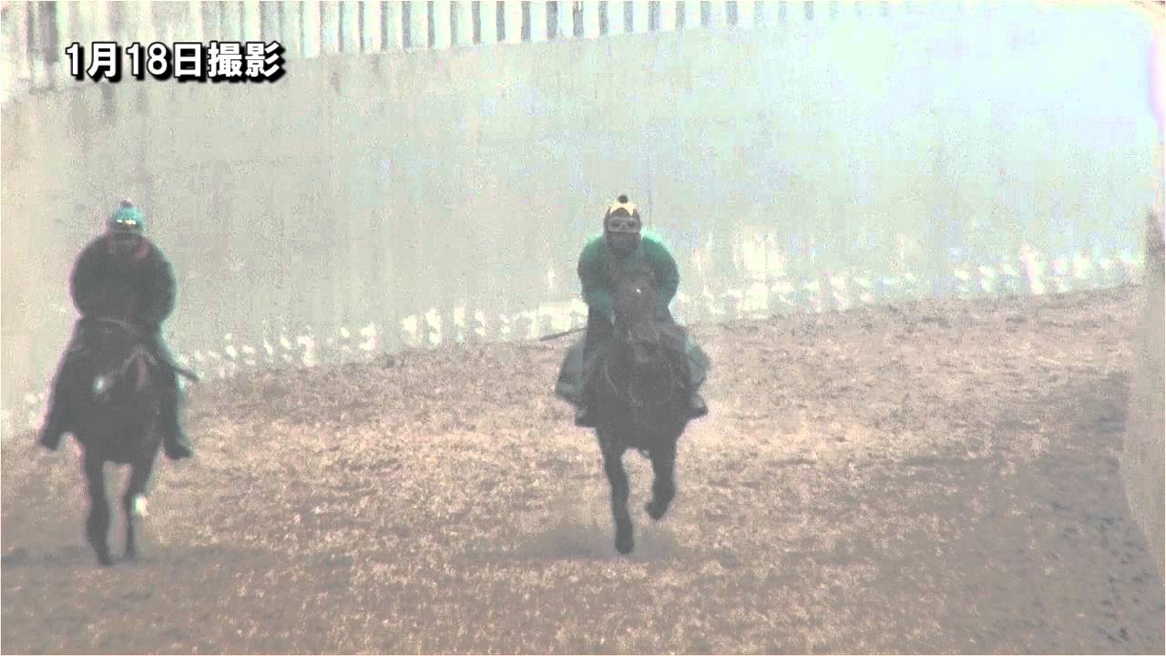焼魚定食の表示価格には消費税が含まれています 16年1月