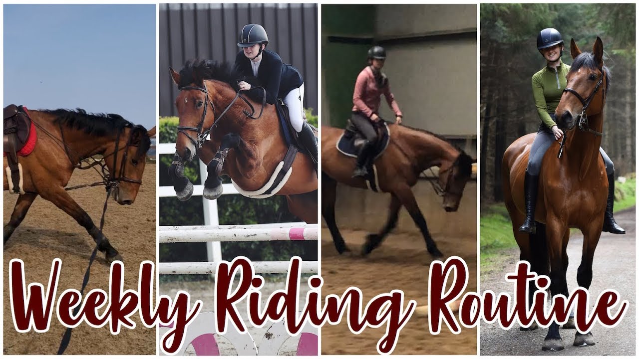 EQUESTRIAN WEEKLY RIDING ROUTINE // + voiceover - YouTube