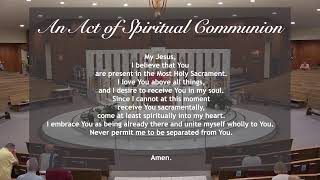 Daily Mass - July 6, 2026