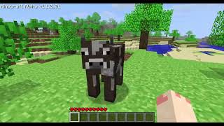 Minecraft Java Edition Alpha v1.1.2/_01