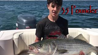 Trolling Monster Striped Bass with the Lucchese Family