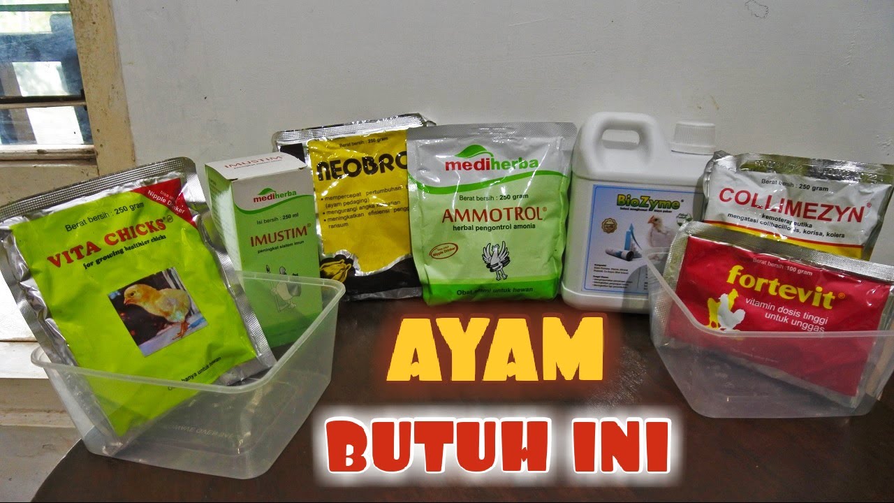 Правильные добавки для ускорения роста курицы