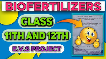 Evs Project On Biofertilizers|Evs Project PDF|12th evs project