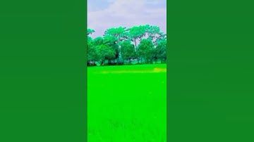 my first vlog viral kese hua ||😭🙏❣️ my first vlog #myfirstvlog2022