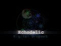 Echodelic - Digital Dropout (Original Mix)