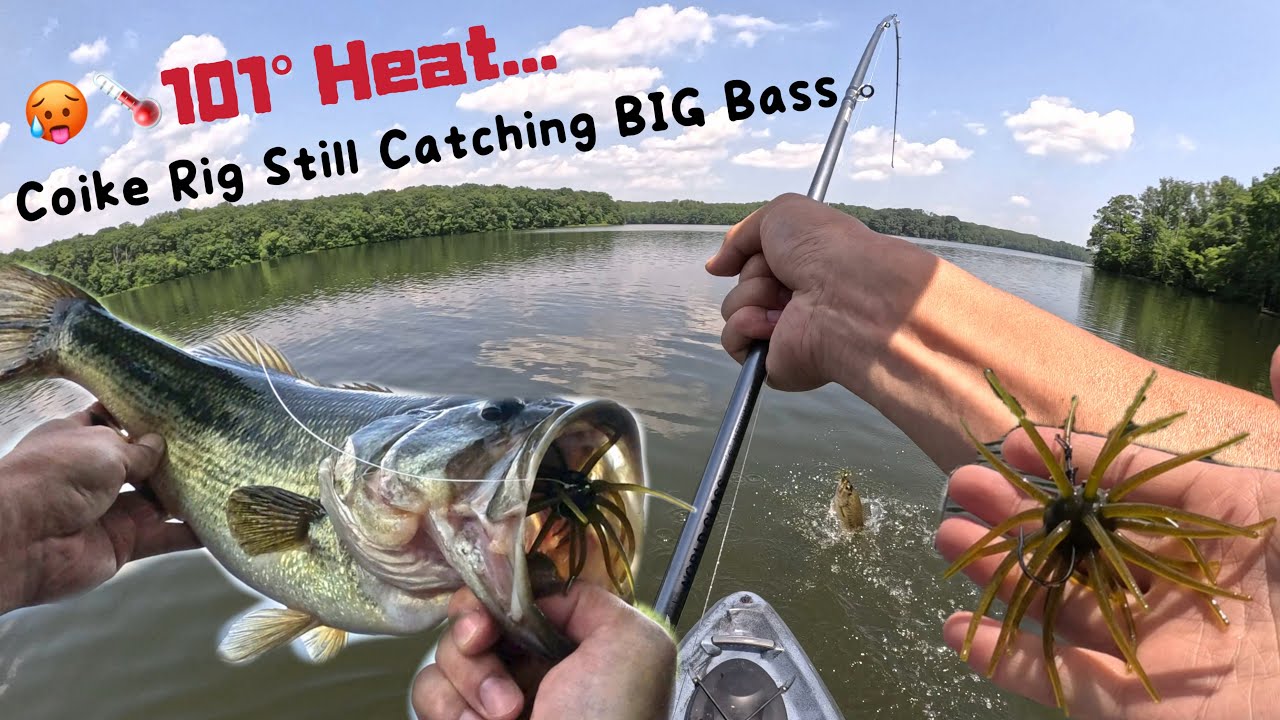 🥵🌡️101° Heat…Coike Rig Still Catching BIG BASS