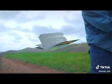 فن الكالة شمة الجزائري 