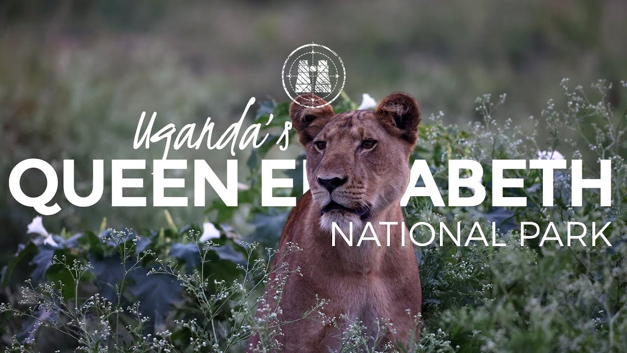 Queen Elizabeth National Park, Uganda / 2023