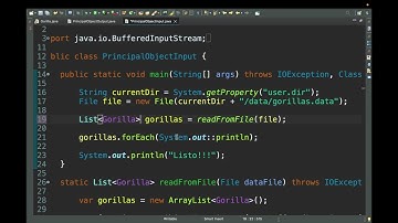 36A Curso Java Certificación 17. Serialization