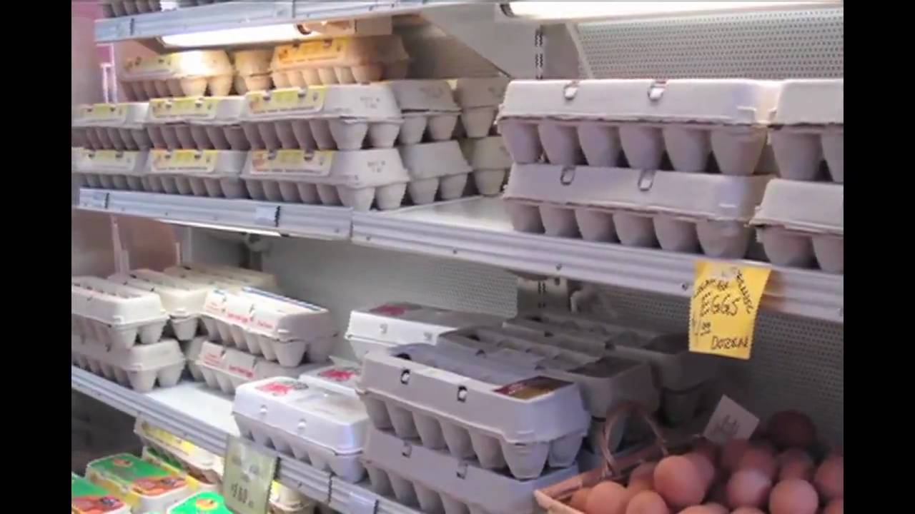 Setting Up A Food Establishment In Michigan Department Of