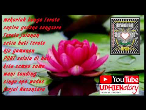 lagu PSHT paling populer