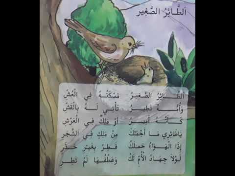 انشودة الطائر الصغير مكررة