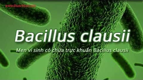 Bacillus Clausii - Men vi sinh tốt cho tiêu hóa và hô hấp của trẻ