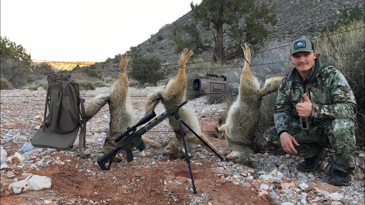 COYOTE TOUR 2019: EPISODE 33 "WINDY DAY SUCCESS!!!"