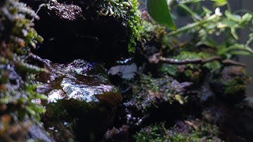 kelompok 4 X-1 Geografi(Video siklus bebatuan).