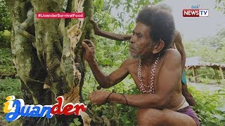Ijuander Paano Nakaligtas Ang Mga Katutubong Aeta Sa Pagsabog Ng Mt. Pinatubo?