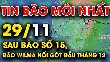 🔥 TIN BÃO MỚI NHẤT 29/11: Sau bão số 15, dự báo khả năng hình thành bão Wilma đầu tháng 12