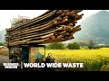 Can bamboo replace paper and plastic and should it  world wide waste  business insider