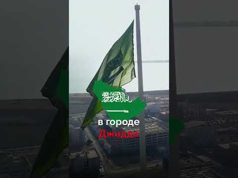 🇸🇦 Самый Большой Флаг в мире 🏴‍☠️ #shorts