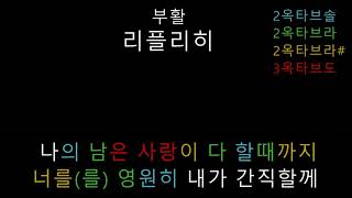 리플리히 thumbnail