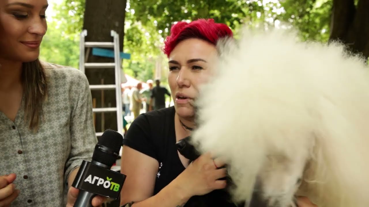 Moj savršeni ljubimac ep. 105 21.06.2021. Izložba pasa, Kraljevo