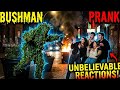 The funniest 70 Bushman Scares Ever Caught on Camera 💥😂🌳