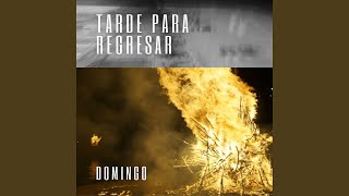 Video thumbnail of "DOMINGO - Tarde para Regresar"