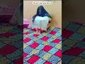 tumhen tumhari Maa ki Kasam subscribe kar lo reyansh Jbp