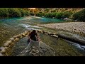 🌊🐏🎣 Sajad&rsquo;s Wild Zagros Adventure: Chasing Wild Rams & Golden Fish 🏔️💦🏡❤️
