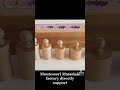 Cylinder blocks montessorimaterials