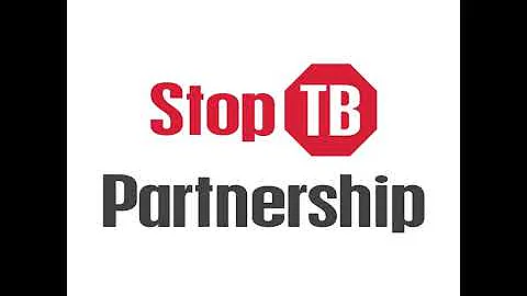 Achieving the UN High-Level Meeting Commitments on TB