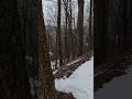 Guess Them Mountain Top Huge Bucks Are True