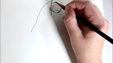 Contour Line Drawing demonstration