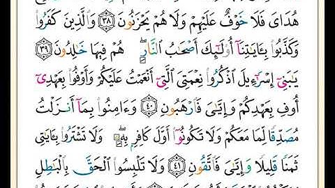 الصفحة رقم ( 7 ) من ختمة مصحف التجويد برواية حفص بصوت القارئ محمد حبش