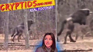 Frighteningly Scary &amp; Mysterious CRYPTIDS Caught on Camera *CREEPY Footage*
