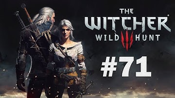 The Witcher 3 Wild Hunt - Playthrough Part 71 - A Deadly Plot