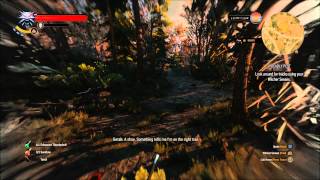 A Deadly Plot Quest - The Witcher 3