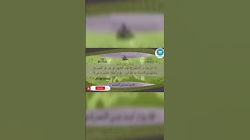 🎧 أجمل تلاوة للقرآن الكريم تهز القلوب | صوت خاشع يريح النفس 💖#قرآن #قرآن_كريم #quran #تلاوة_قرآن