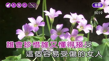 容易受傷的女人~鄺美雲~女C調~伴奏~導唱1顆丙