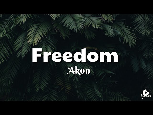 Akon - Freedom (lyrics video) class=