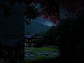 오늘은 아무 말도 하지 말아요 🌧️ 비가 대신 이야기해줄 거예요 | Silent Rain ASMR —Let the Rain Speak for You #relax#rainsounds