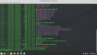 anaconda installation in linux mint.