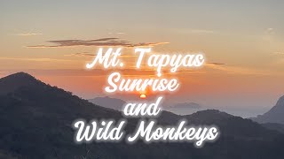 MT TAPYAS RUN, SUNRISE AND WILD MONKEYS
