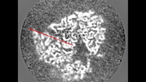 template matching - setup and running