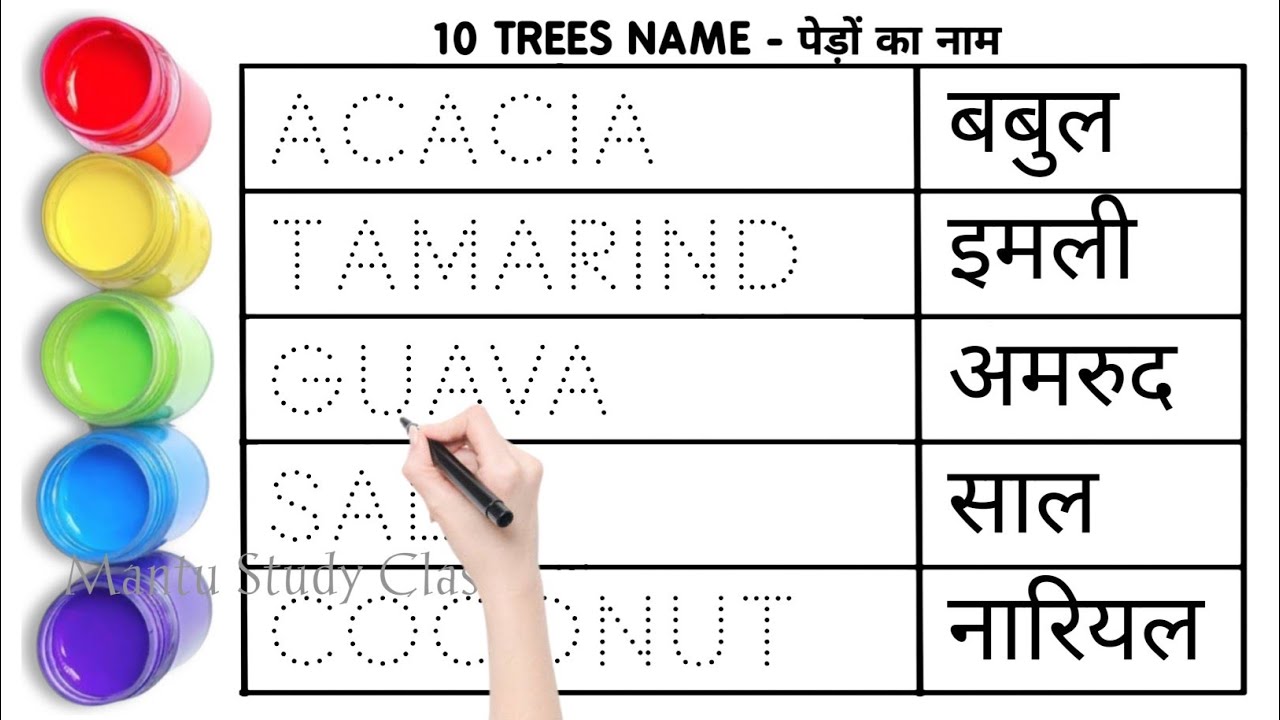 10 Trees Name In English And Hindi Trees Name Trees Name In English 10-trees-name-in-english-and-hindi-trees-name-trees-name-in-english