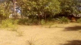 4 Malindi Quarter acre of land for sale in Kibokoni